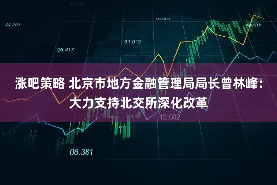 涨吧策略 北京市地方金融管理局局长曾林峰：大力支持北交所深化改革